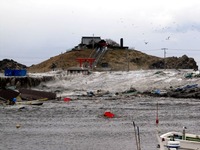 20110311_東日本大震災_津波_被害_354