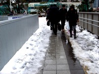 20140215_関東に大雪_津田沼_積雪_記録的大雪_1411_DSC05299