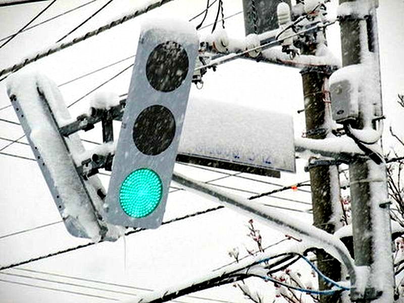 シンプルなLEDタイプの薄型信号機 - No: 28093806|写真素材なら「写真AC」無料(フリー)ダウンロードOK Disney hollywood studios best rides