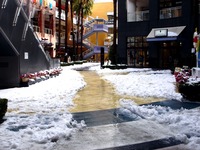 20140215_千葉県船橋市南船橋地区_関東に大雪_1220_DSC05202