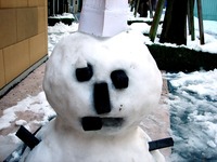 20140209_関東に大雪_千葉県船橋市南船橋地区_1525_DSC04550