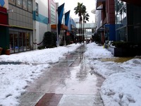 20140215_千葉県船橋市南船橋地区_関東に大雪_1222_DSC05214