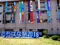 20160618_0928_千葉県立船橋高校_第67回たちばな祭_DSC00253