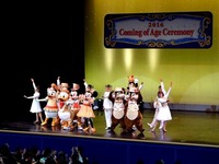 20160111_浦安市_成人式_東京ディズニーランド_372