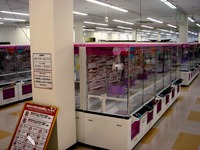 20150524_習志野市茜浜1_ビバホーム新習志野店_1308_DSC06819