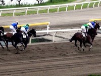 20140505_船橋競馬場_かしわ記念_ふなっしー_1657_29060