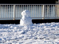 20140209_関東に大雪_千葉県船橋市南船橋地区_1548_DSC04608