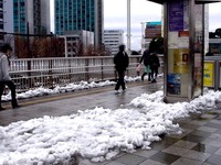 20140215_関東に大雪_津田沼_積雪_記録的大雪_1411_DSC05292