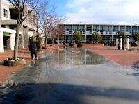 20110311_習志野市芝園_千葉工業大学_新習志野キャンパス_020