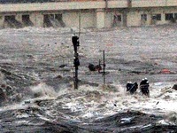 20110311_東日本大震災_宮城県_仙台市_南三陸町_志津川_232