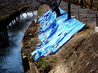20140222_船橋市_海老川_鷹匠橋_人道橋_1201_DSC06262