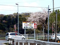 20150412_千葉県袖ケ浦永吉_東京ドイツ村_1229_DSC09039