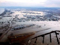20110311_東日本大震災_津波_被害_244
