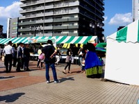 20140614_JR船橋駅北口おまつり広場_地場野菜即売会_1458_DSC06490