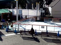 20150118_市川市_ニッケコルトンプラザ_スケート_1102_32010