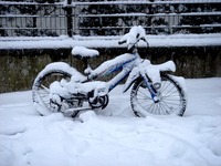 20140208_関東に大雪_千葉県船橋市南船橋地区_1457_DSC04342