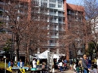 20140329_習志野市泉町1_日本大学_観桜会_1449_DSC01324