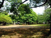 20140524_習志野市谷津3_谷津バラ園_谷津公園_1440_DSC02466