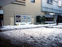 20140209_関東に大雪_千葉県船橋市南船橋地区_1522_DSC04531
