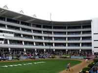 20150419_船橋市古作1_中山競馬場_皐月賞_1055_DSC00435