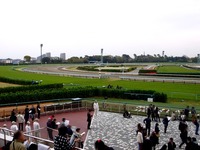 20150419_中山競馬場_皐月賞_マーチングドリル_1105_DSC00470