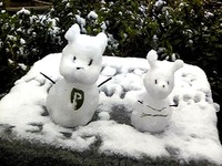 20140208_浦安市舞浜_東京ディズニーリゾート_大雪_392