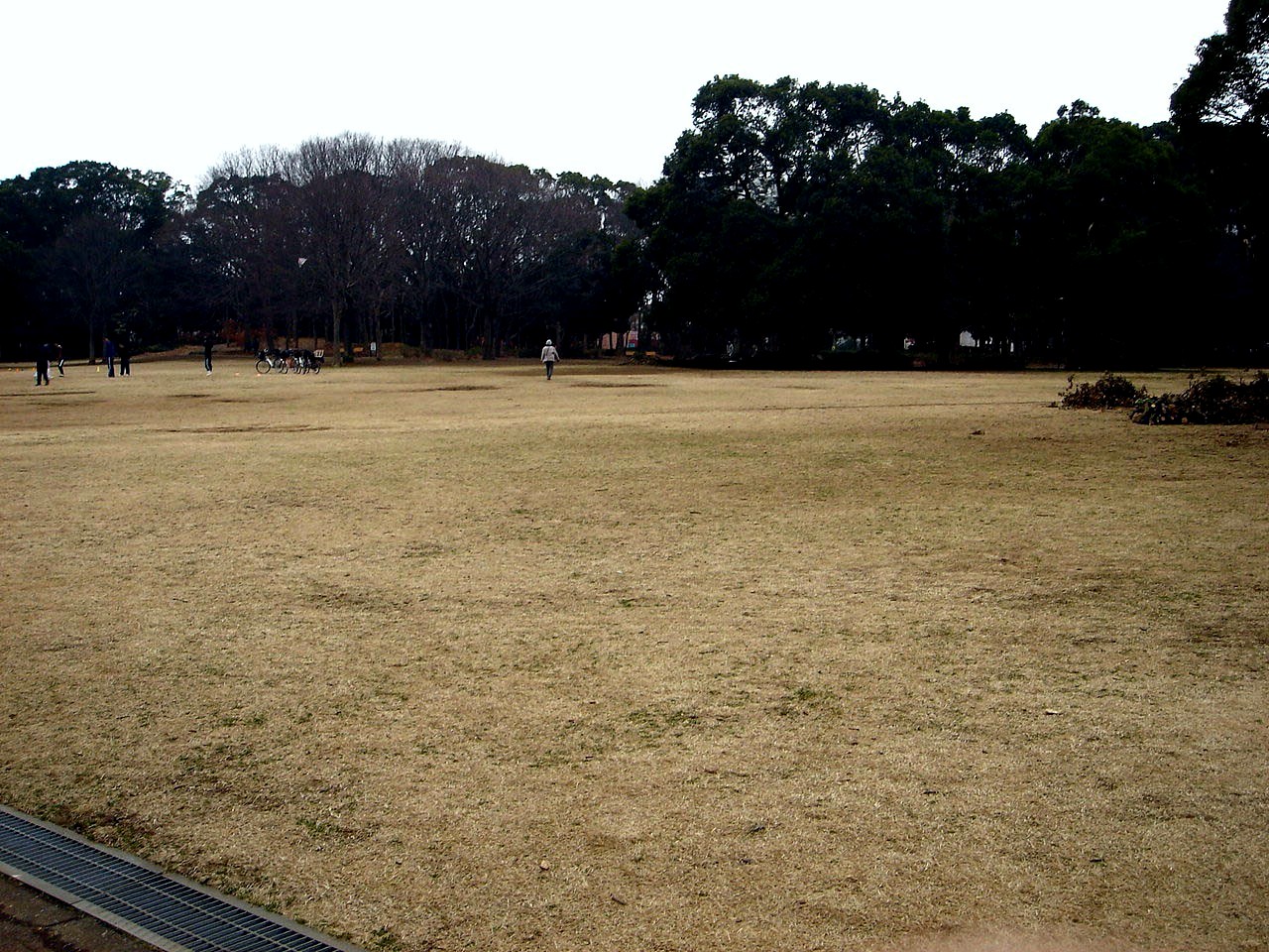 冬の風13 14 千葉県立行田公園が大変なことになっている件 72 ビビット22 14 冬の風13 14 千葉県立行田公園が大変なことになっている件 72 ビビット22 14