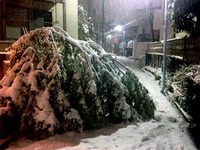 20160119_東京都_強い冬型の低気圧_積雪_大雪_0805_DSC00023T