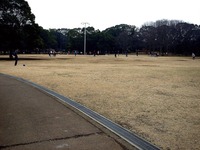 20140301_船橋市行田2_千葉県立行田公園_積雪_1546_DSC07046