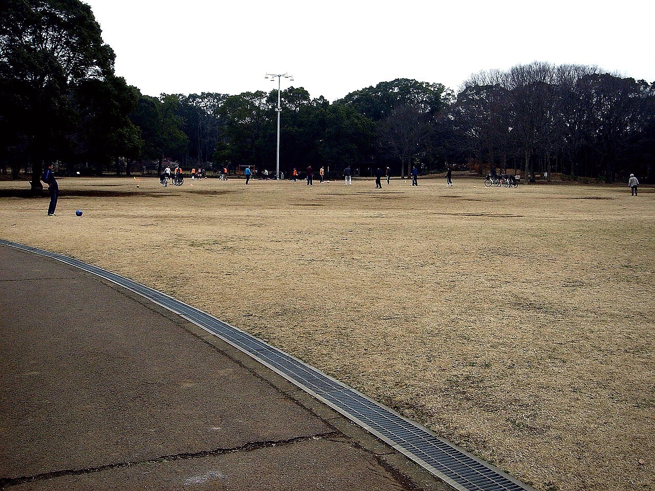 冬の風13 14 千葉県立行田公園が大変なことになっている件 72 ビビット22 14 冬の風13 14 千葉県立行田公園が大変なことになっている件 72 ビビット22 14