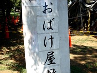 20140802_船橋市_習志野駐屯地納涼夏まつり_1229_DSC02837