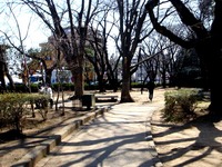 20140323_船橋市金杉6_御滝公園_御滝不動尊_桜_1301_DSC00505