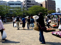 20140426_船橋市本町_天沼弁天沼池公園_緑りと花のジャンボ市_0909_DSC06094