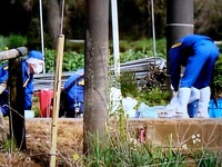 20150425_船橋市_船橋18歳少女生き埋め殺人事件_0747_DSC00906T