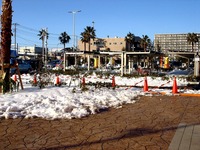 20140209_関東に大雪_千葉県船橋市南船橋地区_1545_DSC04586