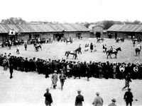 20150420_横浜市中区蓑沢_根岸競馬場_横浜競馬場_042