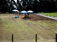 20151003_千葉県富津市田倉_マザー牧場_0950_DSC01579