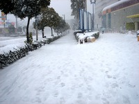 20140208_関東に大雪_千葉県船橋市南船橋地区_1512_DSC04370