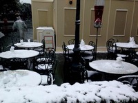 20140208_浦安市舞浜_東京ディズニーリゾート_大雪_482
