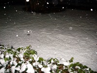 20140214_千葉県船橋市南船橋地区_関東に大雪_1954_DSC05138