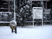 20140208_関東に大雪_千葉県船橋市南船橋地区_1456_DSC04340