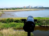 20070430_市川市_千葉県行徳野鳥観測舎_1248_DSC02320