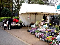 20150419_船橋市_緑と花のジャンボ市_天沼弁天池公園_0917_DSC00132