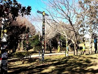 20131216_流山市総合運動公園_トーテムポール_112