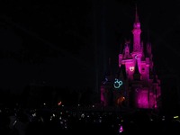 20150101_東京ディズニーリゾート_カウントダウンパーティー_330