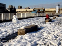 20140209_関東に大雪_千葉県船橋市南船橋地区_1549_DSC04615T