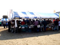 20151107_ちかわ市民まつり_大洲防災公園_0938_DSC06664