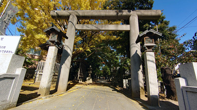 20201111_1212_七五三_船橋大神宮_意富比神社_DSC00103W