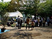 20140426_船橋市本町_天沼弁天沼池公園_緑りと花のジャンボ市_0906_DSC06083