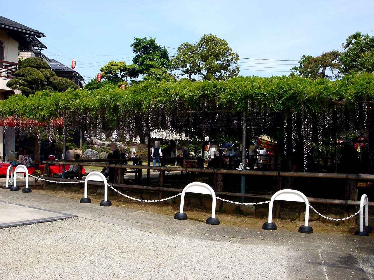 春の風14 市川市高圓寺のふじまつり編 32 ビビット 14 春の風14 市川市高圓寺のふじまつり編 32 ビビット 14